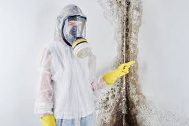 Reliable Twin Lakes, VA Mold Removal & Remediation Solutions